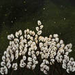 Load image into Gallery viewer, "Daybreak" 11x14 Art Print - Alison Lockert Fine Art