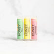 Load image into Gallery viewer, Unscented / Lip Balm - Beaver Creek Honey