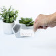 Load image into Gallery viewer, Howdy Honey / Sticker - Keepsakes by TMK