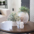 Load image into Gallery viewer, Wylie White / Vase - Everlasting Candle Co