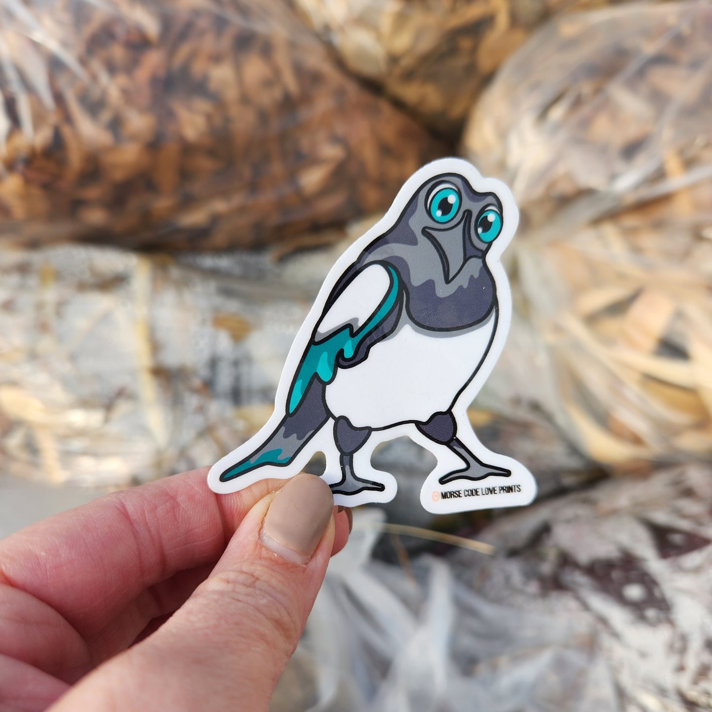 Magpie Vinyl Sticker
