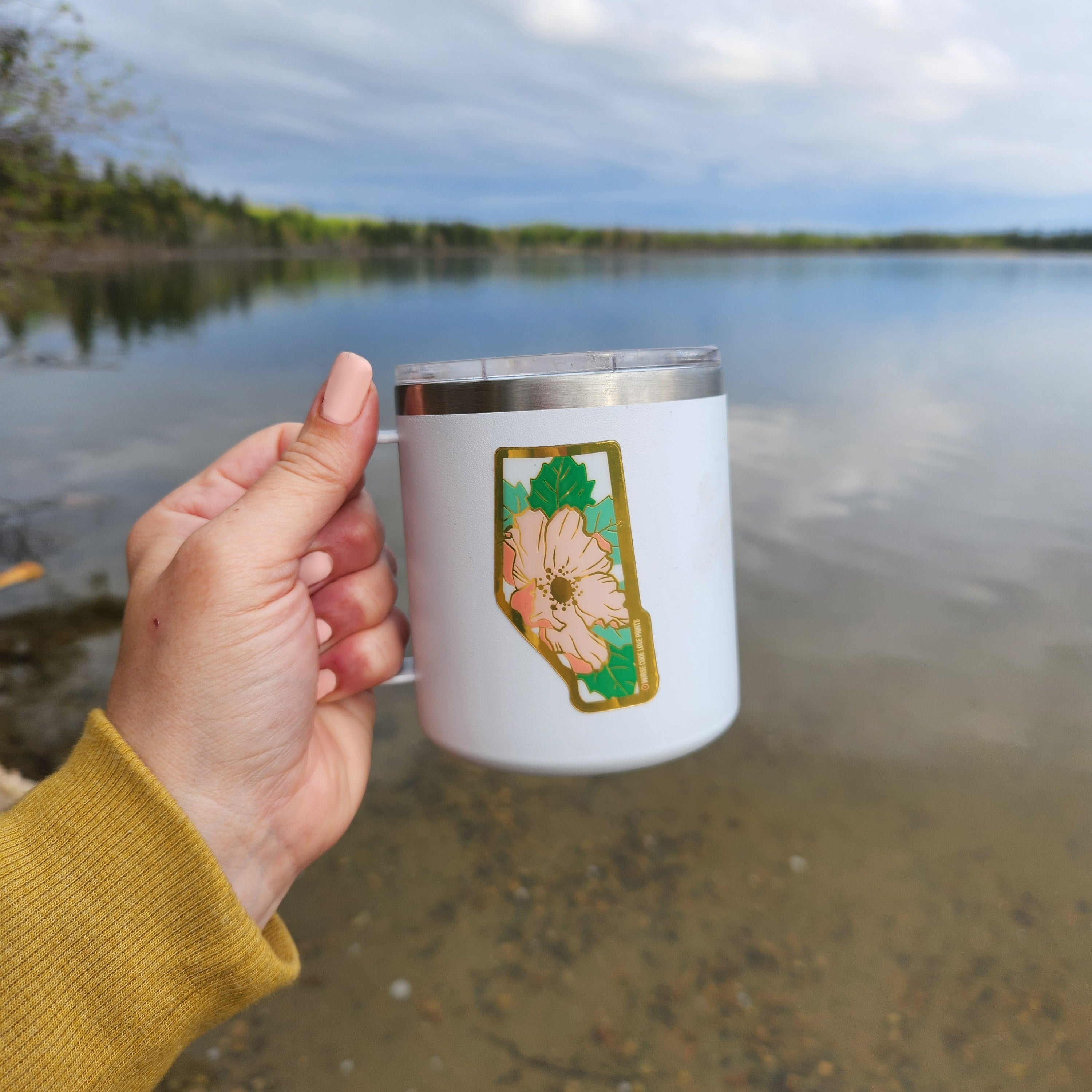 Alberta Wild Rose Vinyl Sticker