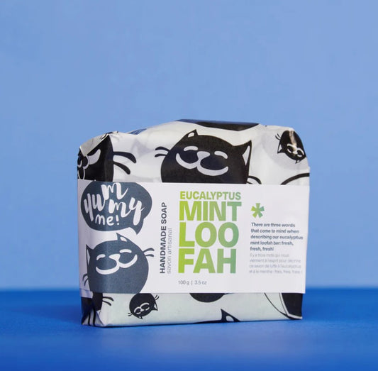 Eucalyptus Mint Loofah Bar Soap