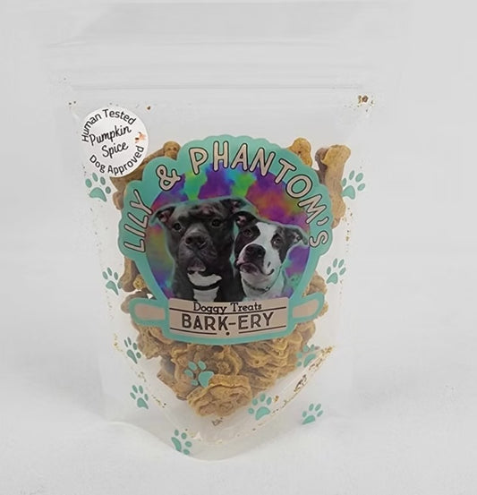 Pumpkin Spice Pet Treats