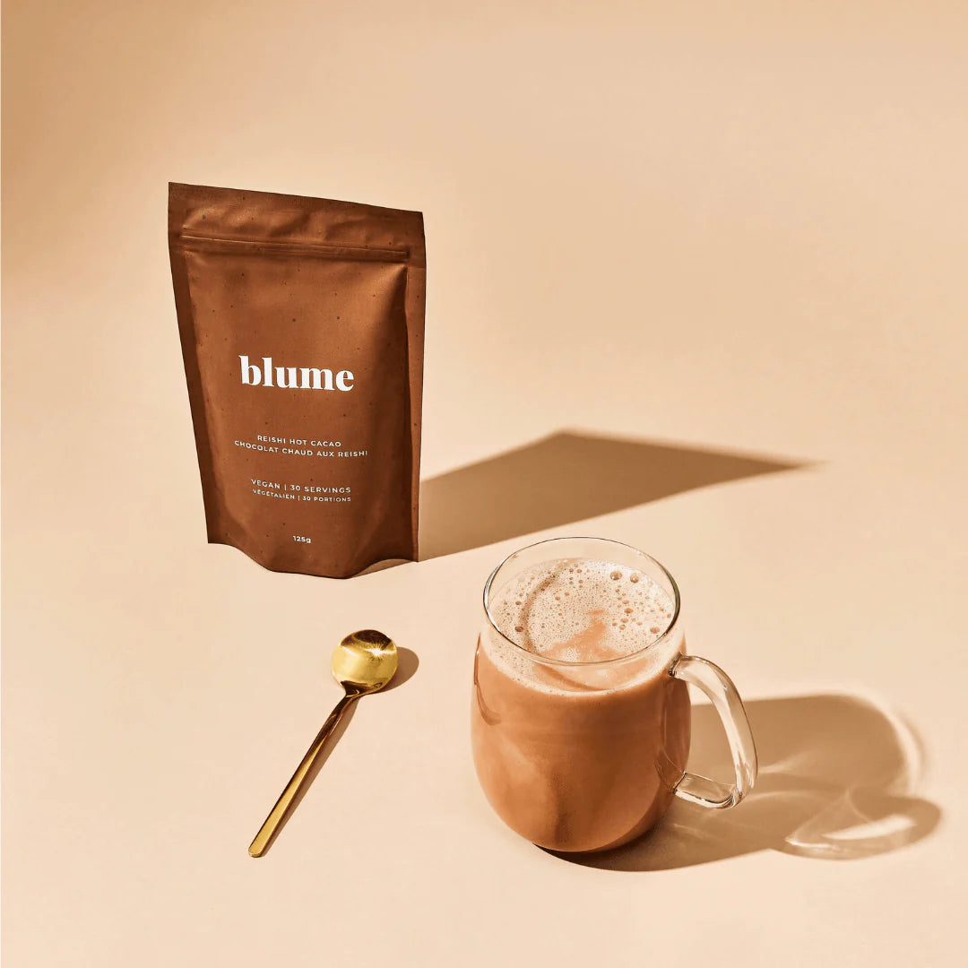 Superfood Latte Powder Reishi Hot Cacao