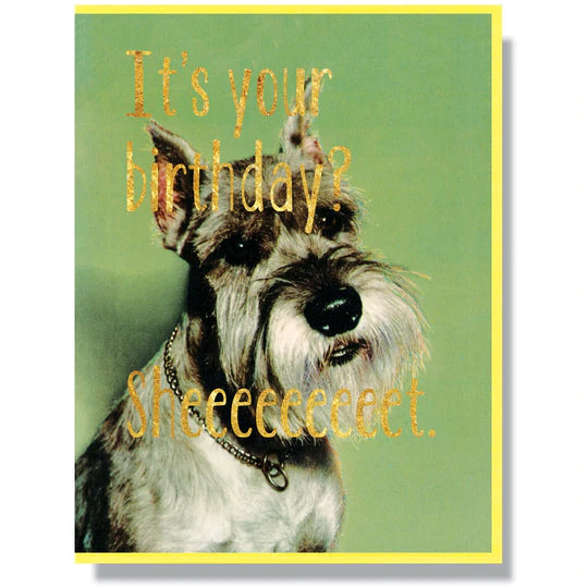 This A2 (4.25” x 5.5”) birthday card is digitally printed with gold foil, is blank inside, and comes with a yellow envelope. The front of the card has a dog and says "It's your birthday? Sheeeeeeeet" in gold lettering.