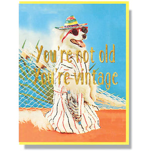 This A2 (4.25” x 5.5”) birthday card is digitally printed with gold foil, is blank inside and comes with a yellow envelope. The front of the card has a dog dressed in beach attire and says "You're not old you're just vintage" in gold lettering.