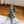 Load image into Gallery viewer, Black Kittens / Socks - Mimi &amp; August
